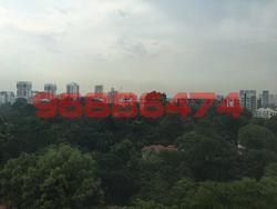 Scotts 28 (D9), Condominium #95163402